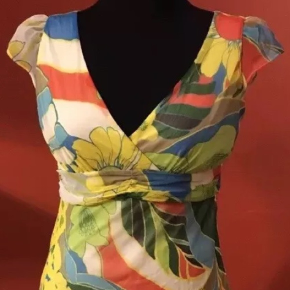 Jonathan Martin Sz 8 Sheer Floral Dress